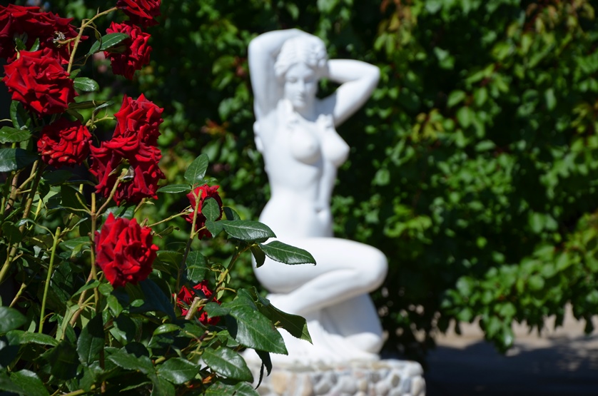 DSC_0058.JPG