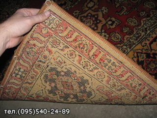 5afad79de6d1.jpg