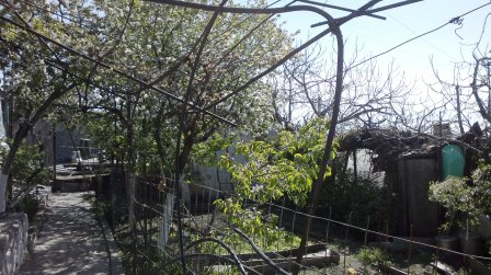 25042012149.jpg