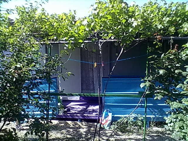 08062011881.jpg