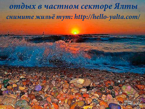 image-(11).jpg