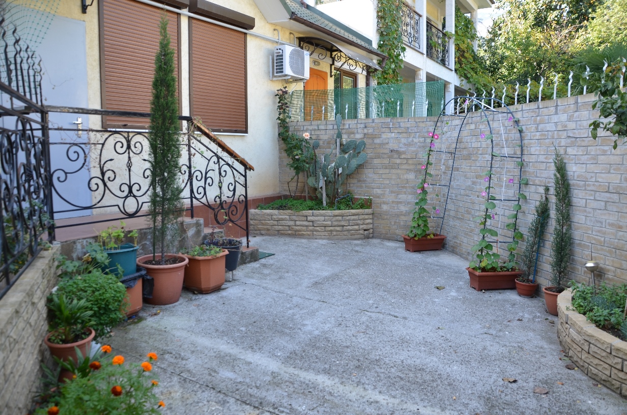 DSC_1810.JPG