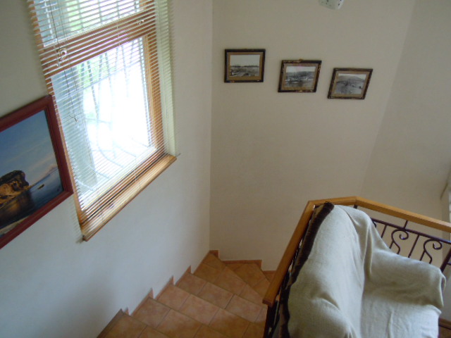 DSCN0484.jpg