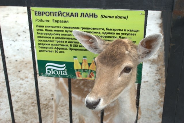 В Крыму презентовали туристический маршрут «По долинам Белогорья» (ФОТО)