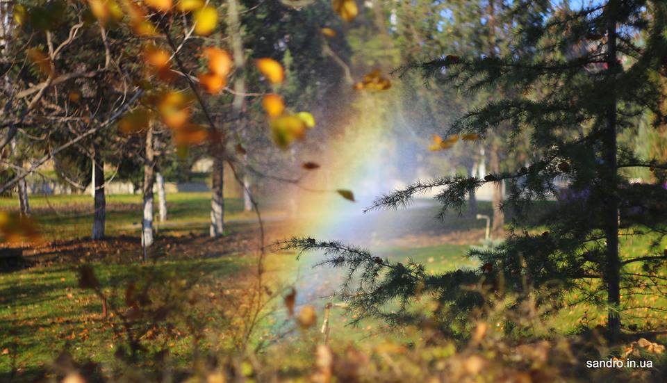 Фото Александра Кирьякова